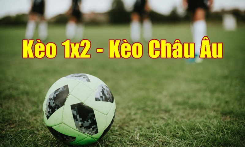 Phân Tích Cược Kèo 1X2 cho Người Chơi Mới